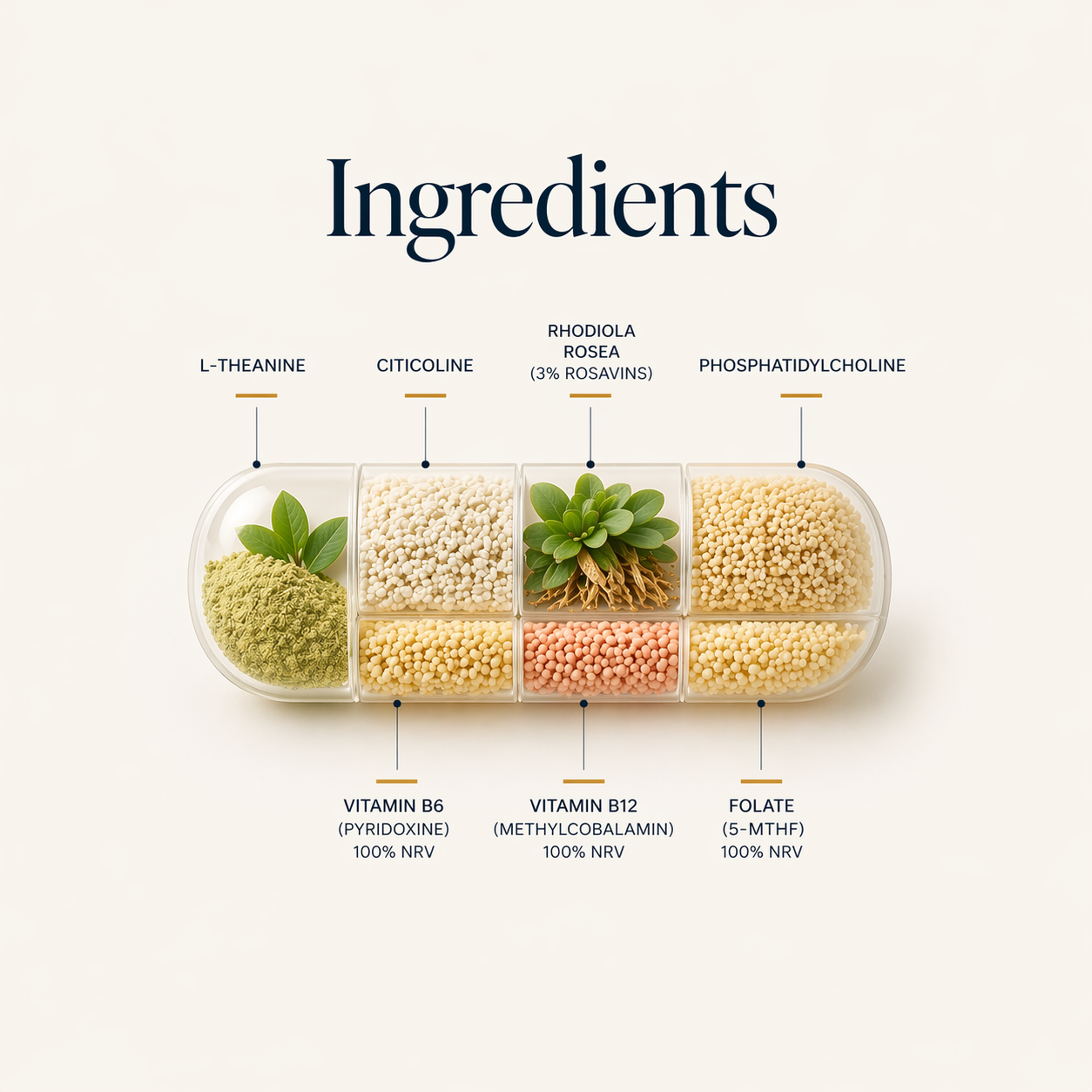 Core Capsule